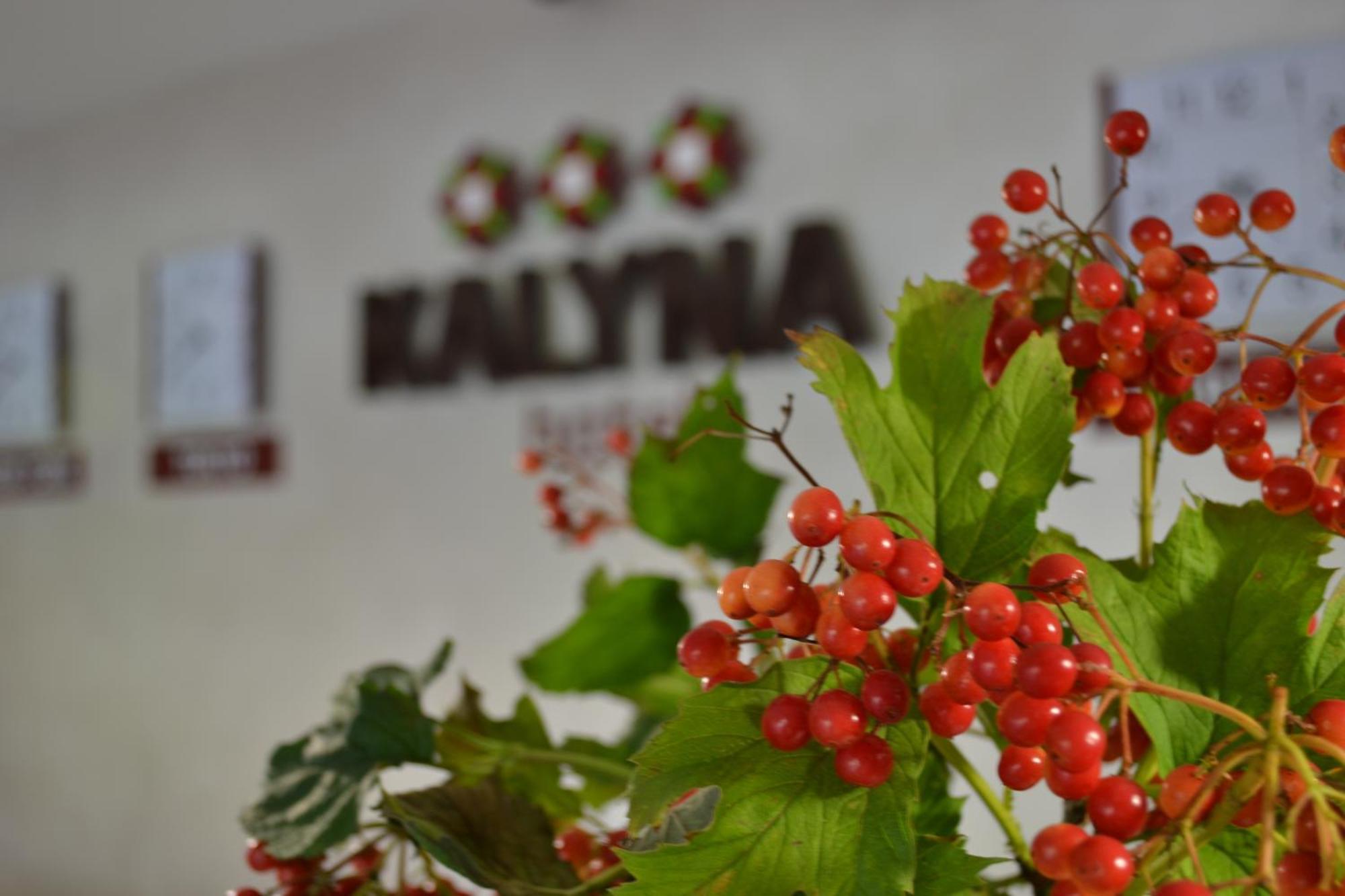 Hotel Kalyna Kharkiv Extérieur photo